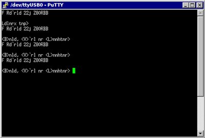 gibberish terminal output